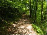 Planina (Dolnja Planina) - Hunting cottage on Planinska gora